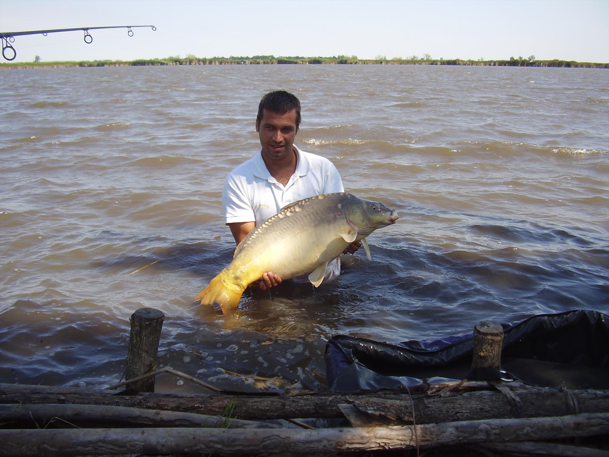 Alejandro Carp Team - Ohat Ungaria 2013 - p5060005.JPG